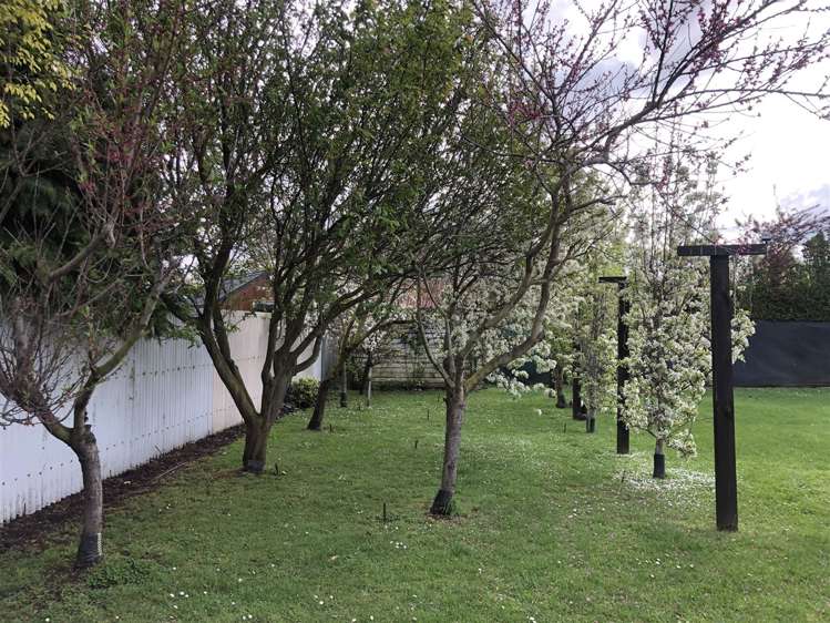 8 Tekoa Street Waiau_33