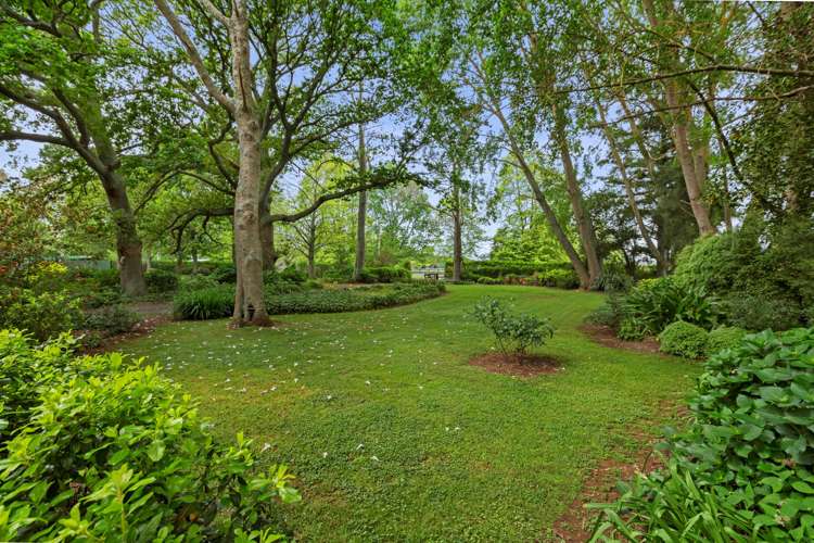 253 Kaipaki Road Ohaupo_24