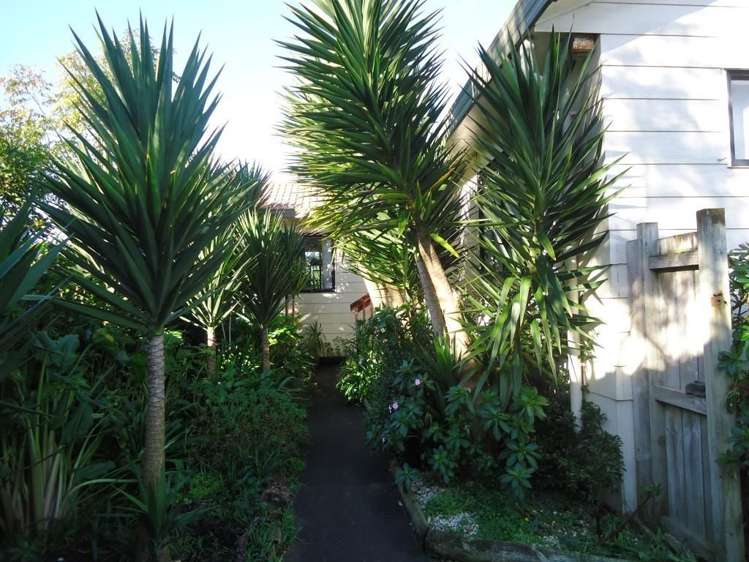 22 Dungarvon Place Clendon Park_10