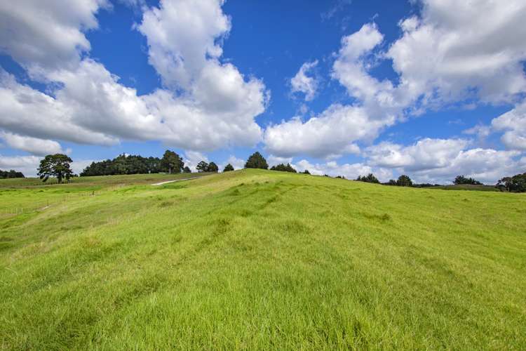 Lot 1 Oetzman Rd Hikurangi Rd2_7