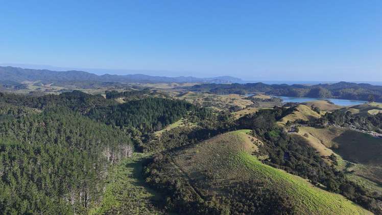 3211 Russell Road Whangaruru_0