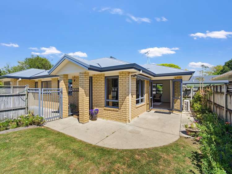 96A Domain Road Whakatane_12