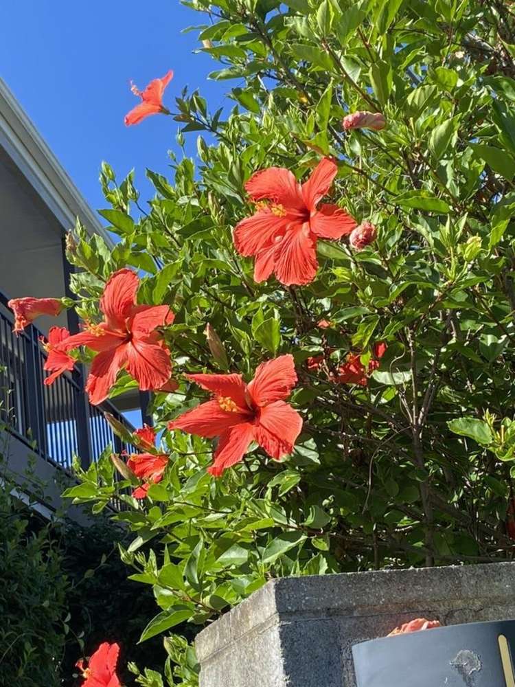 224B Tangiora Avenue Whangapoua_14