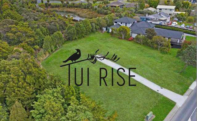 Lot 5, 75-79 Woodcocks Road Warkworth_2