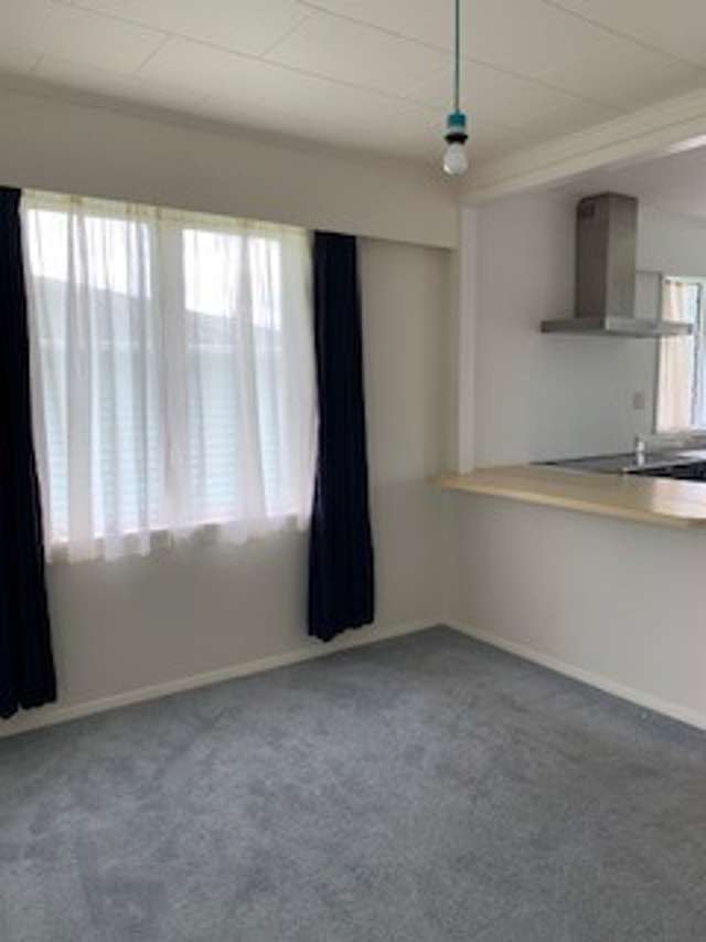 113 Vogel Street 1193_4