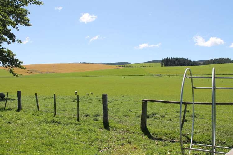 49 Spirit Burn Road Dipton_15