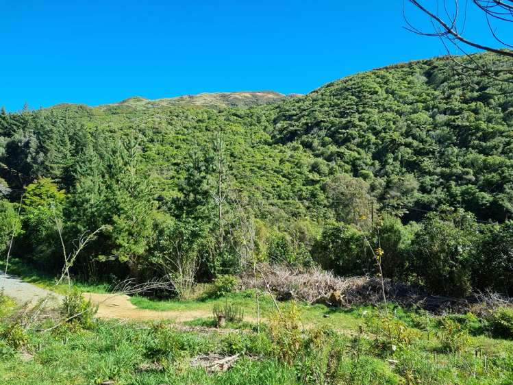 238 Stratton Street Normandale_8