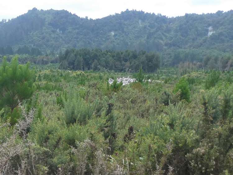 Camerons Road Marsden_4