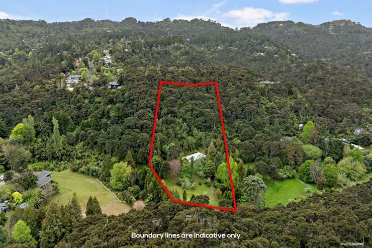 The design of 245 Huia Road, in Auckland's Titirangi, was based on plans that a US architect had drawn up for another home. Photo / Supplied