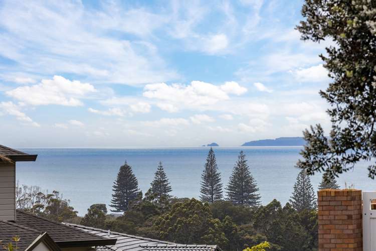 29a Ngahere Views Orewa_11