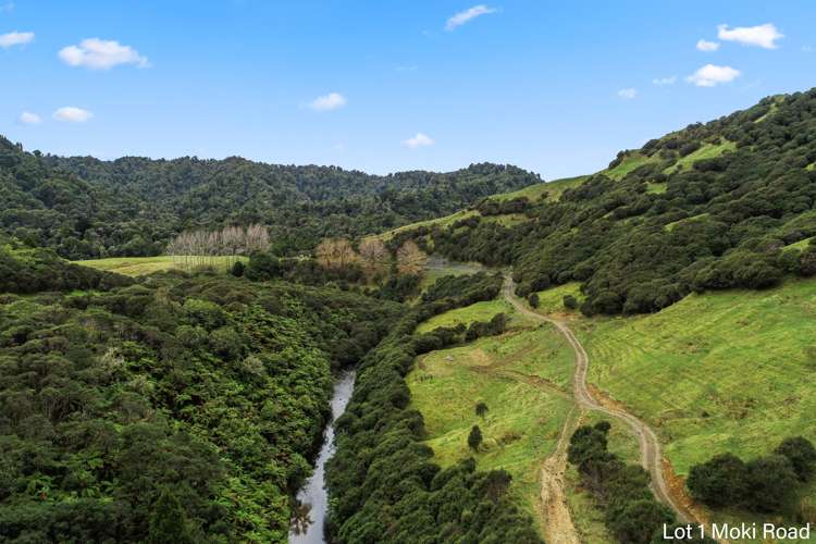 Lot 1 Moki Road, Tahora Taumarunui_10