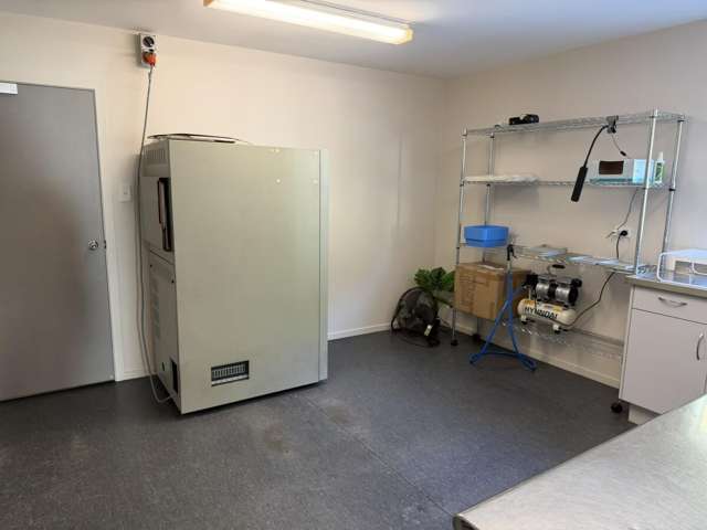 1a Sunley Street, Westown Westown_4