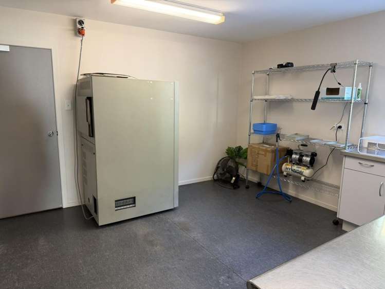 1a Sunley Street, Westown Westown_4