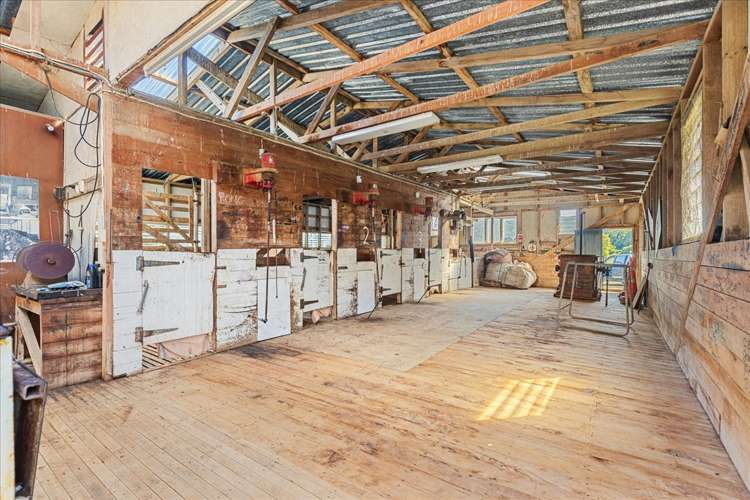 1295 Marokopa Road Marokopa_14