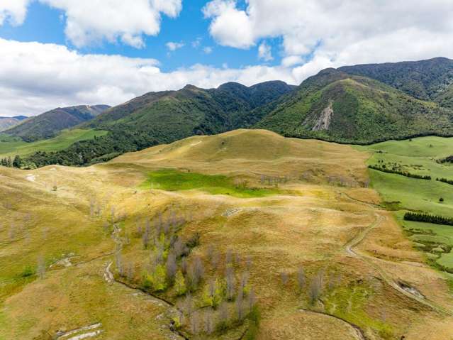463 Gull Flat Road, Kereru Kereru_1