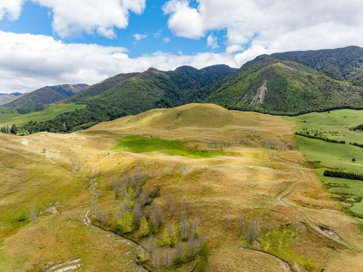 463 Gull Flat Road, Kereru Kereru_1