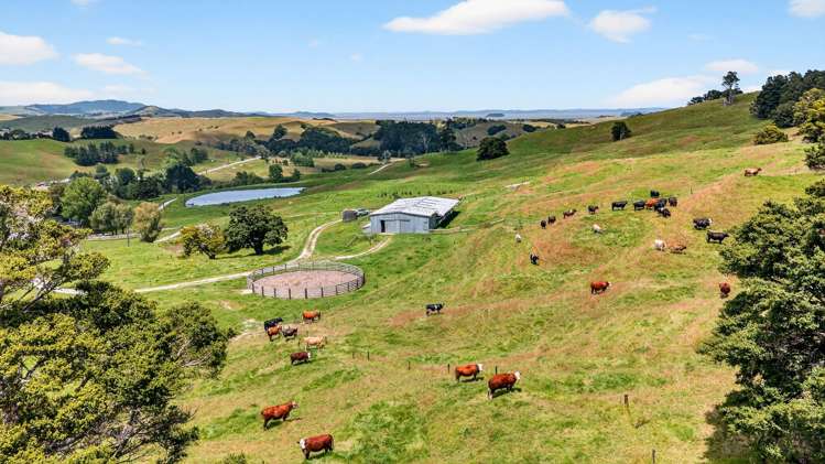 421 Wharehine Road Wellsford_19