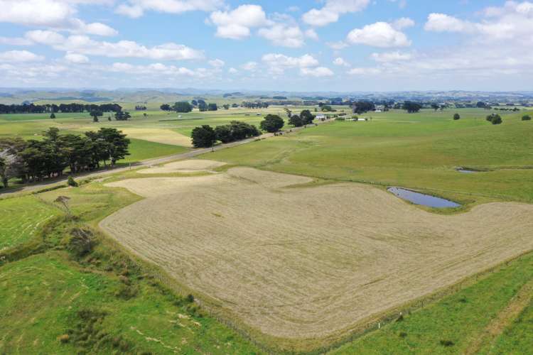 390 Pinfold Road Woodville_5