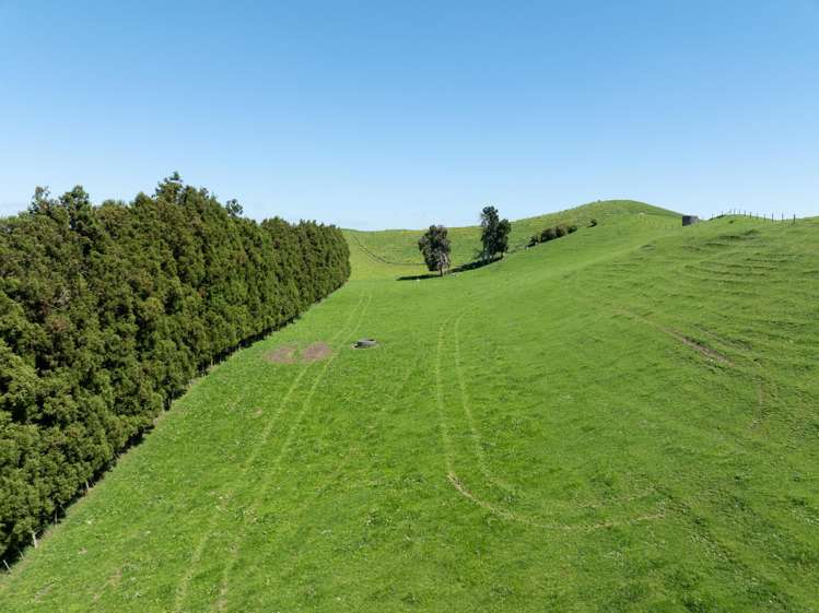 661 State Highway 27, Hinuera Okoroire_4