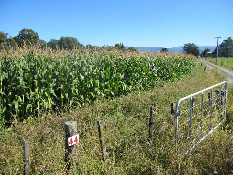 44 Matarawa Road Carterton_19