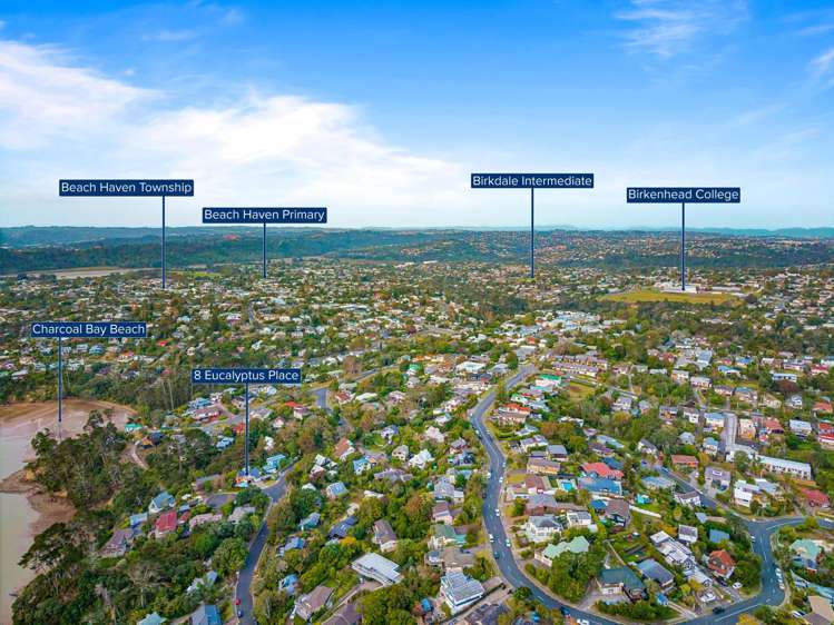 8 Eucalyptus Place Beach Haven_15