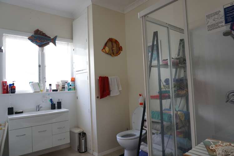 66 Salisbury Street Levin_7