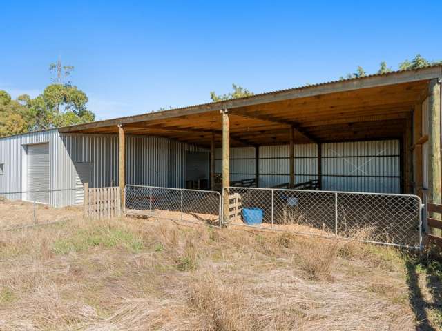 742 Old South Road Dunsandel_4