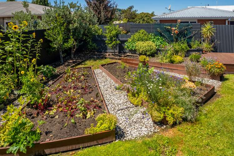 101 Alabama Road Redwoodtown_20