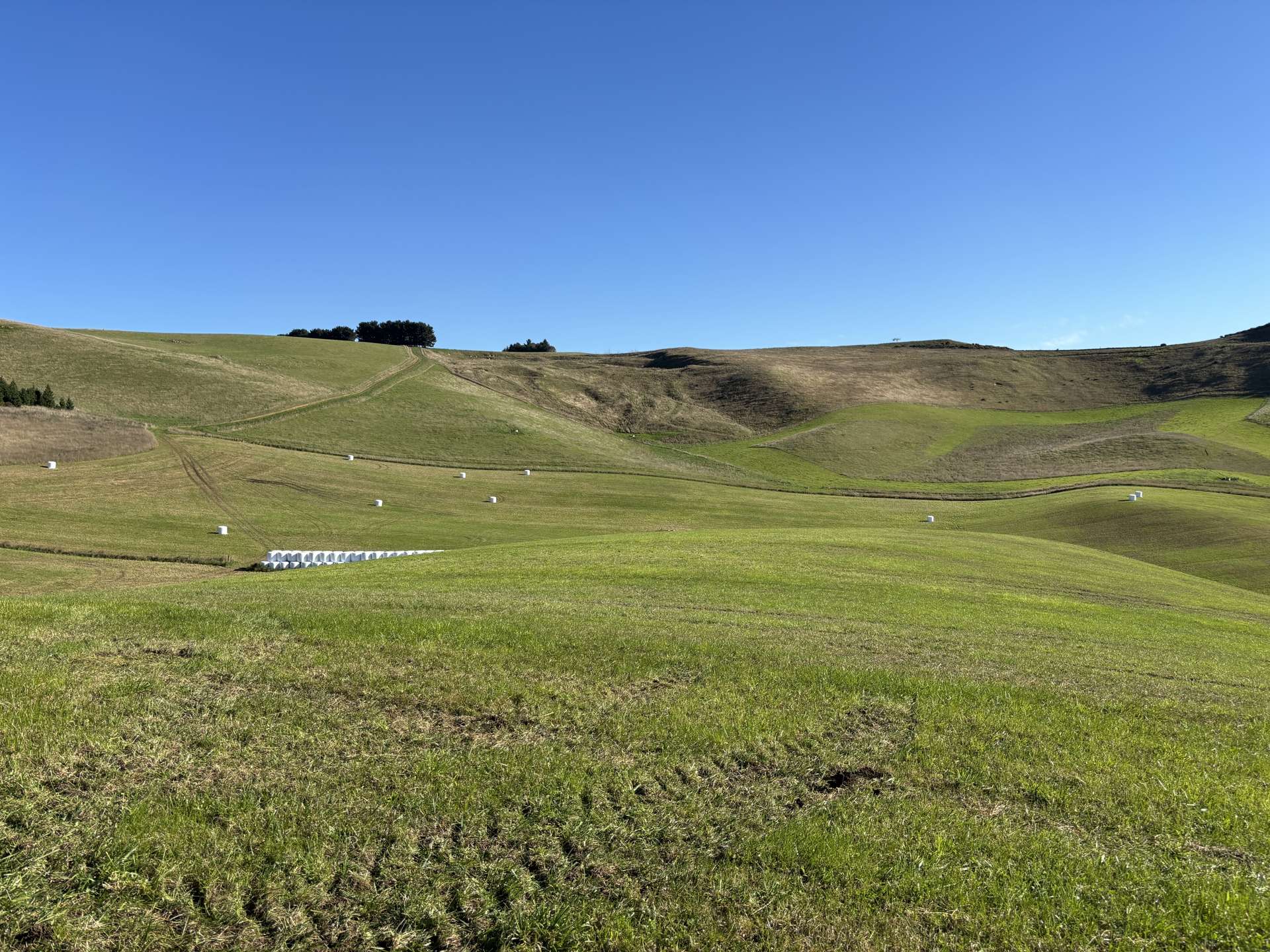 - Peaks Road Windsor_0