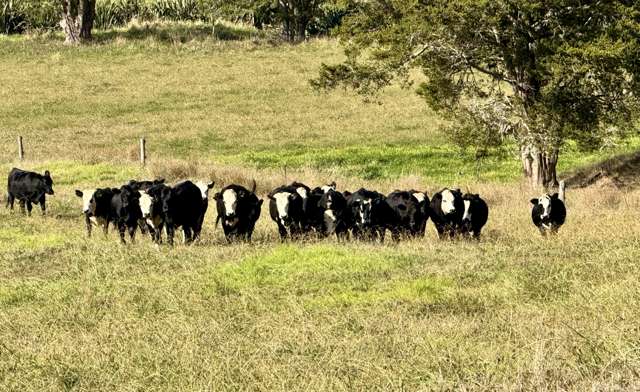 92 ha bare land opportunity