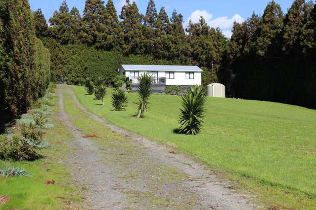 101 Avocado Lane Mangawhai_1