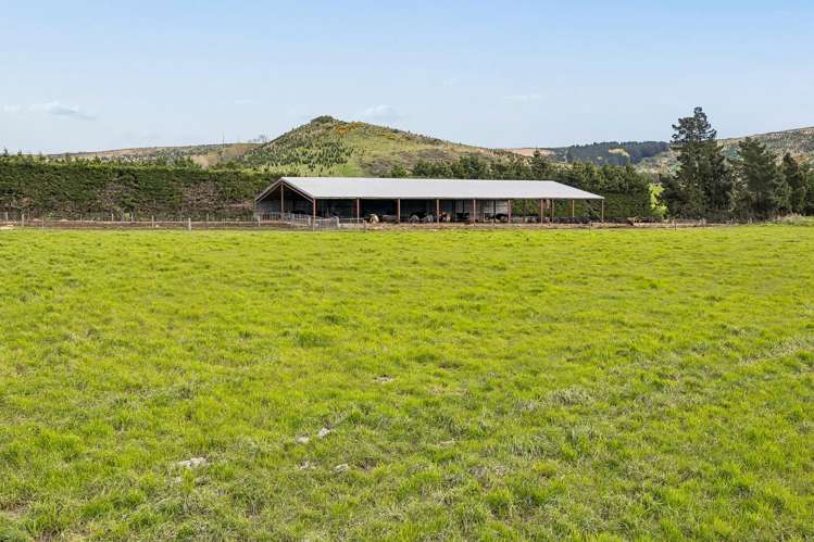 49 Phosphate Road Clarendon_23