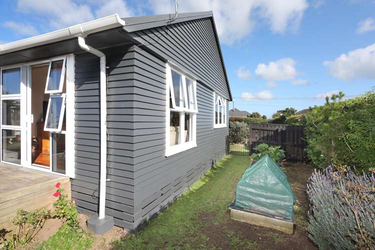 10 Kittyhawk Row Bulls_25