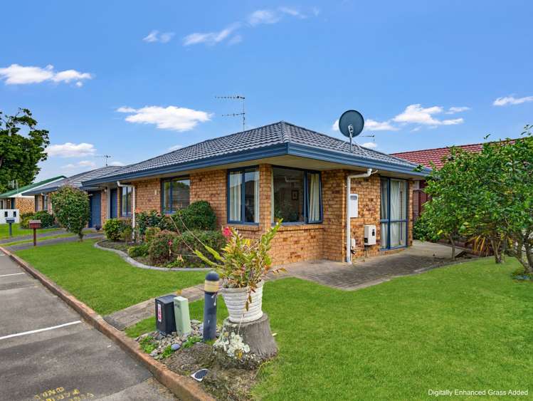 13 Totara Park Whakatane_15