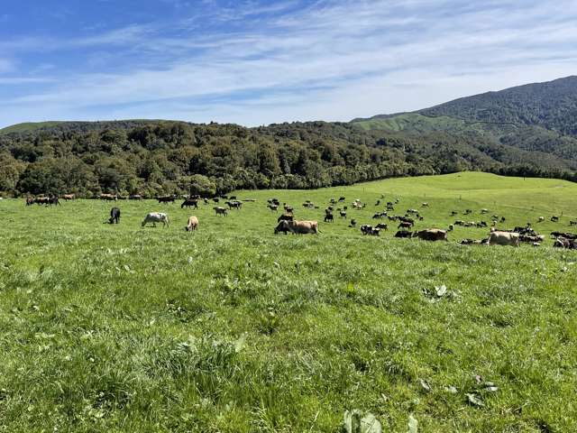 231 Hectares Dairy Unit Priced To Sell