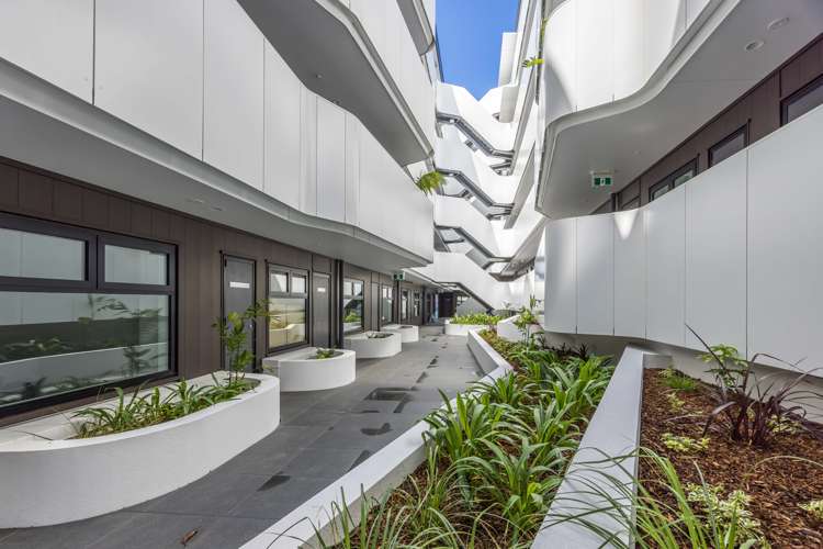 L4/428 Dominion Road Mount Eden_11