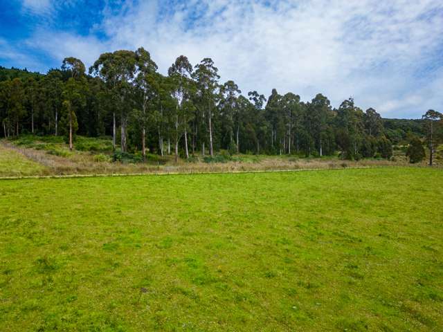 Address withheld Waimate_1