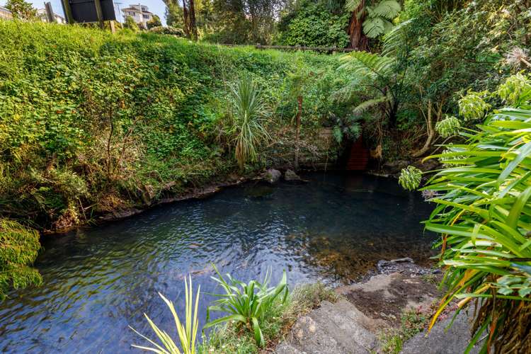 11 Mill Road Lower Vogeltown_19