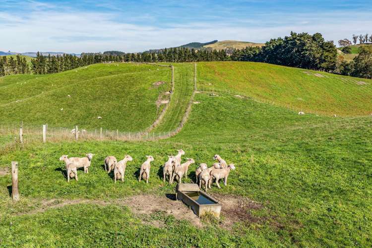 Lot 2/84 Tod Road Otane_13