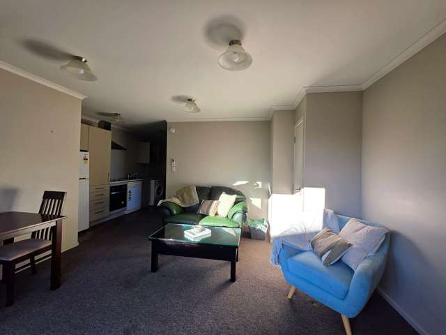 62B Willoughby Street Hamilton Central_2