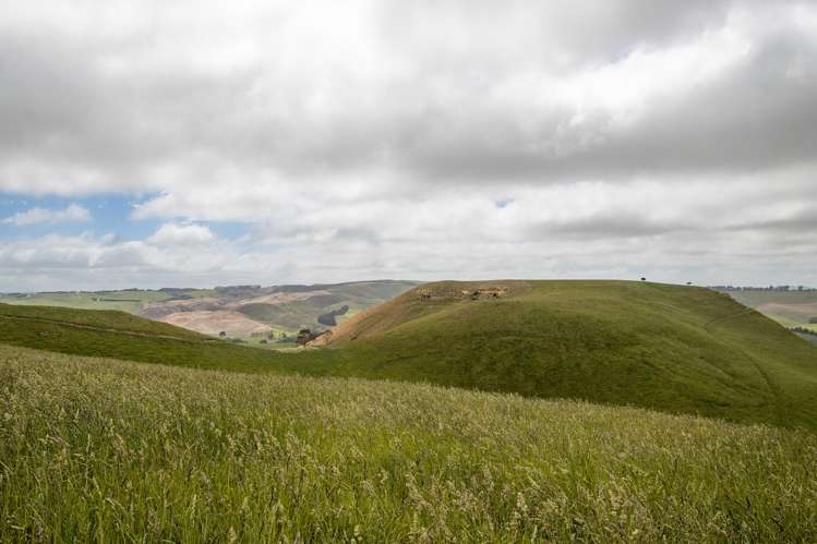 Address withheld Windsor_18