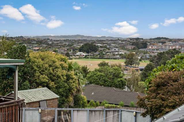 53c Prospect Terrace Pukekohe_1