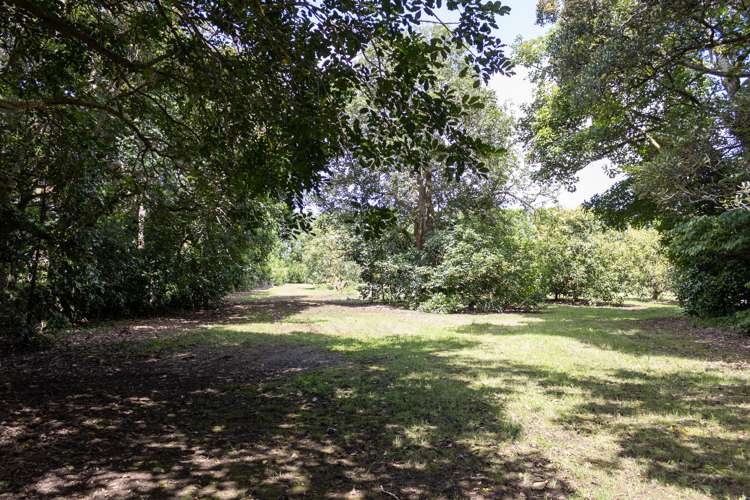 Lot 1 Mangakahia Road Maungatapere_10