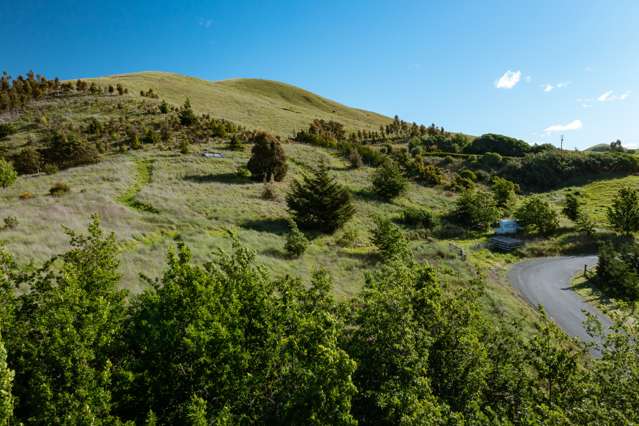 Redwood Pass Road Redwood Pass_2