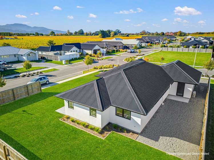 31 Whitehall Drive Springlands_31