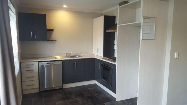 191C Massey Street Frankton_4