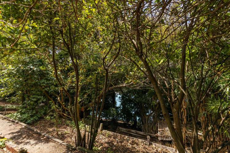 9a Normanby Street Fitzroy_11