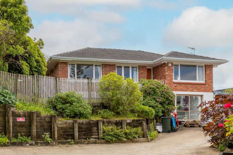 109a Meadowbank Road Meadowbank_0