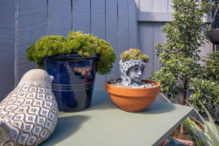 71 Muller Road Blenheim Central_30