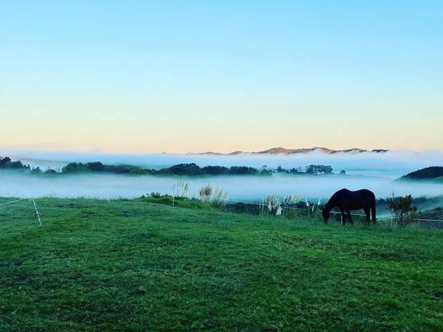 852 Oneriri Road Kaiwaka_4